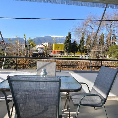 Zeusplace Georgia House Lägenhet Leptokarya  Exteriör bild